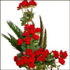 Only for U - Click here to View more details about this Product